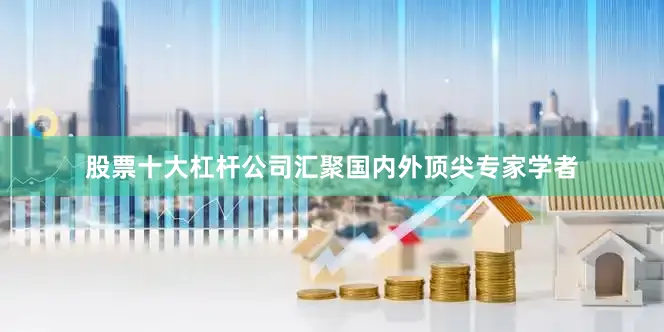 股票十大杠杆公司汇聚国内外顶尖专家学者