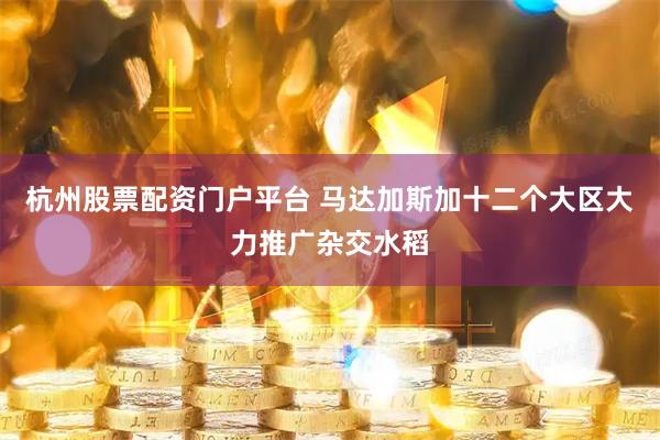 杭州股票配资门户平台 马达加斯加十二个大区大力推广杂交水稻