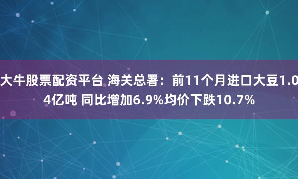 大牛股票配资平台 海关总署：前11个月进口大豆1.04亿吨 同比增加6.9%均价下跌10.7%