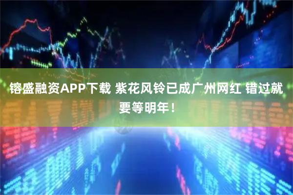 镕盛融资APP下载 紫花风铃已成广州网红 错过就要等明年！
