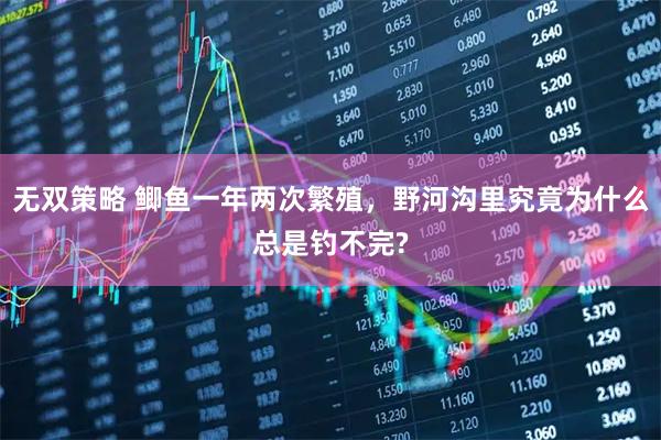 无双策略 鲫鱼一年两次繁殖，野河沟里究竟为什么总是钓不完?